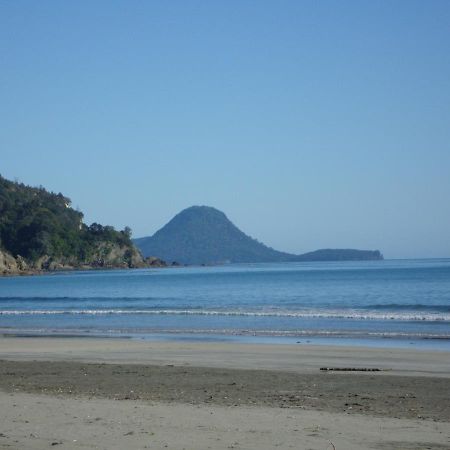 Beachfront Bliss Ohope 외부 사진