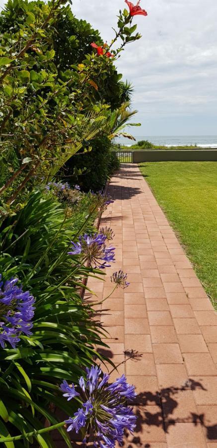 Beachfront Bliss Ohope 외부 사진
