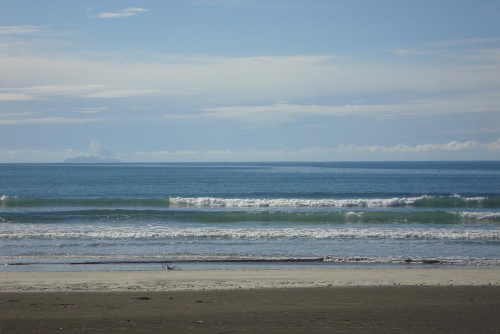 Beachfront Bliss Ohope 외부 사진